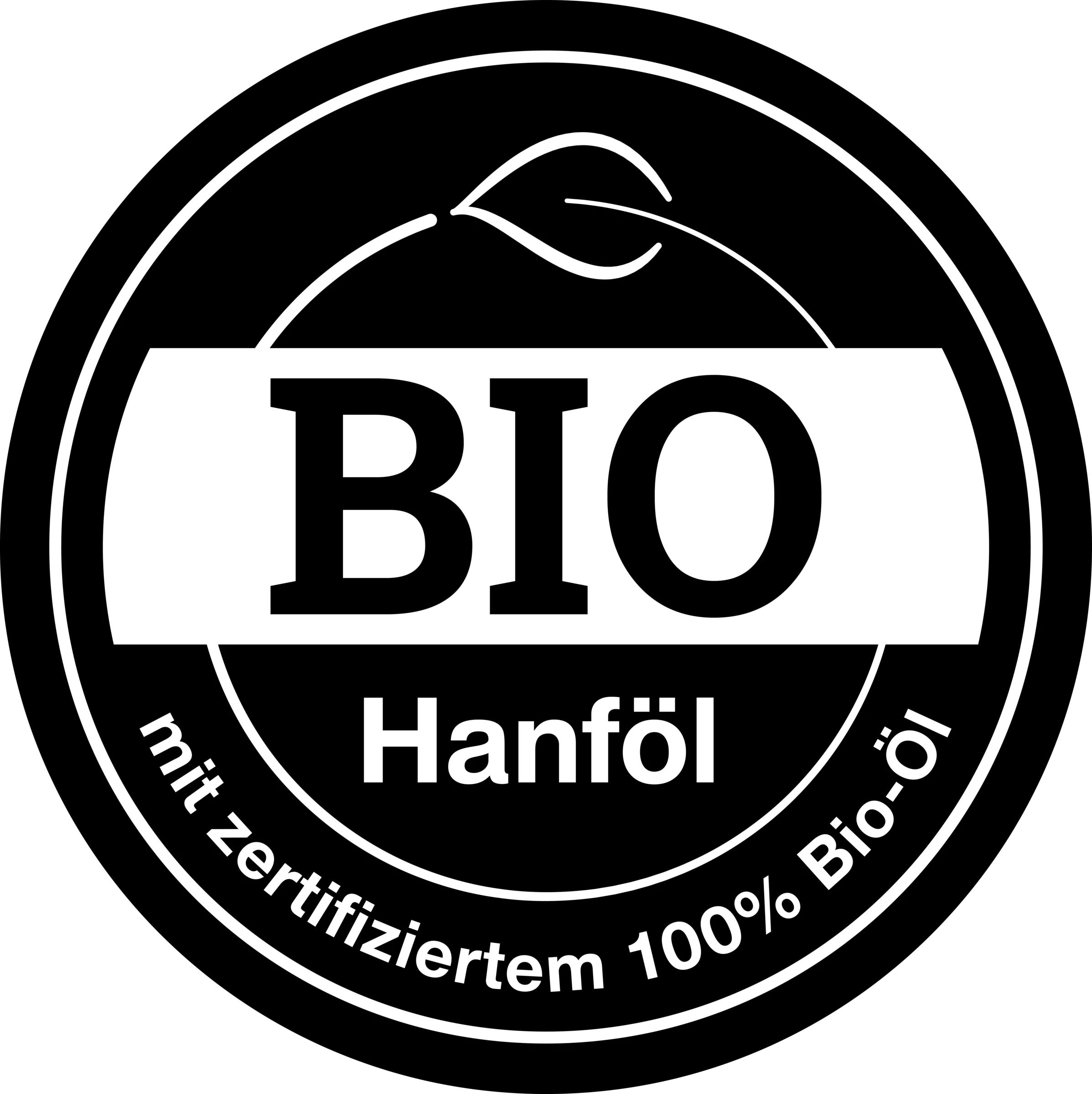 Hanföl Shampoo Schwung & Kraft 2 Hanföl Shampoo Schwung & Kraft - Image 2