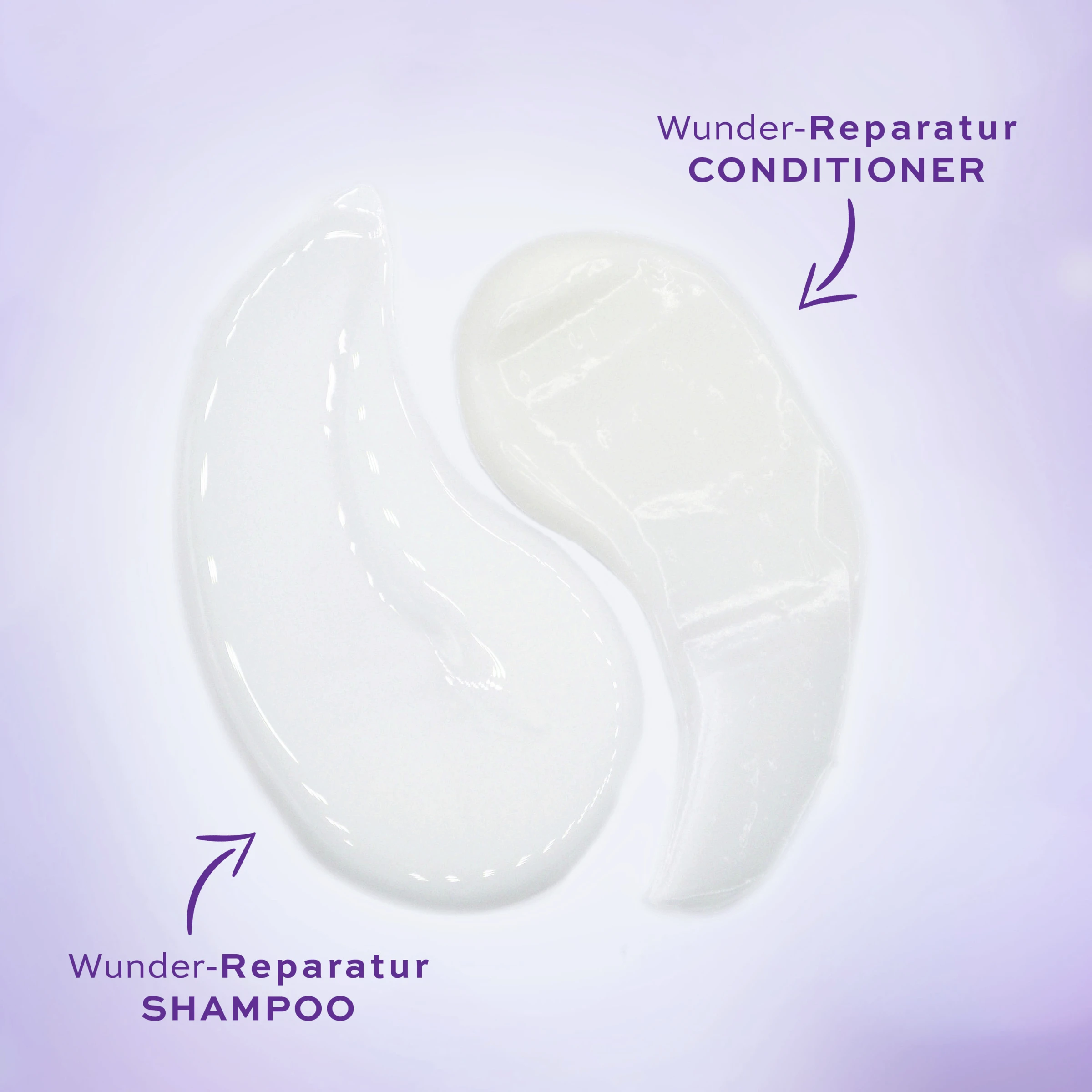 Wunder-Reparatur Shampoo 6 Wunder-Reparatur Shampoo – Bild 6